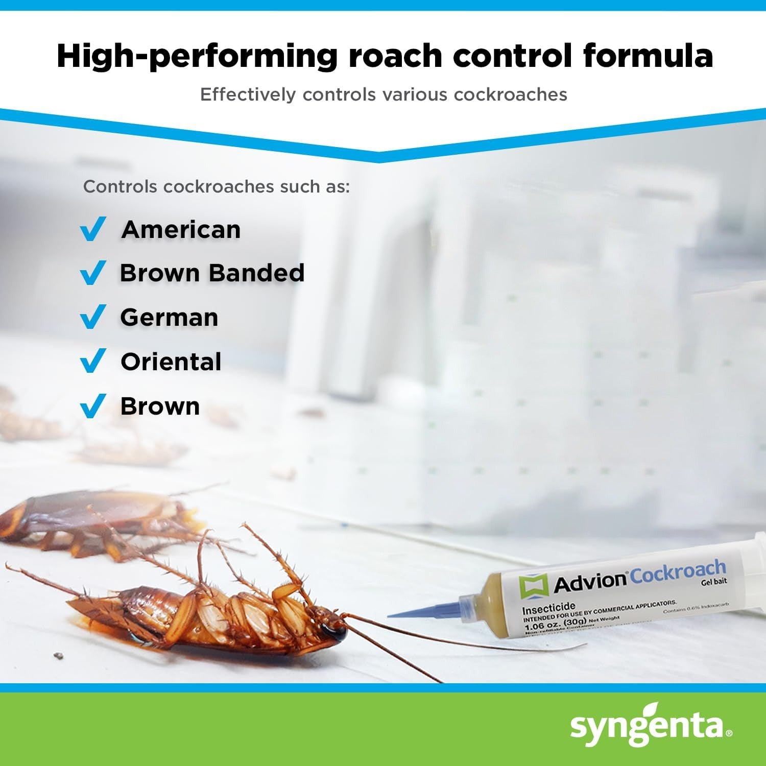 Cockroaches Are Died Using Advion Cockroach Gel Bait.