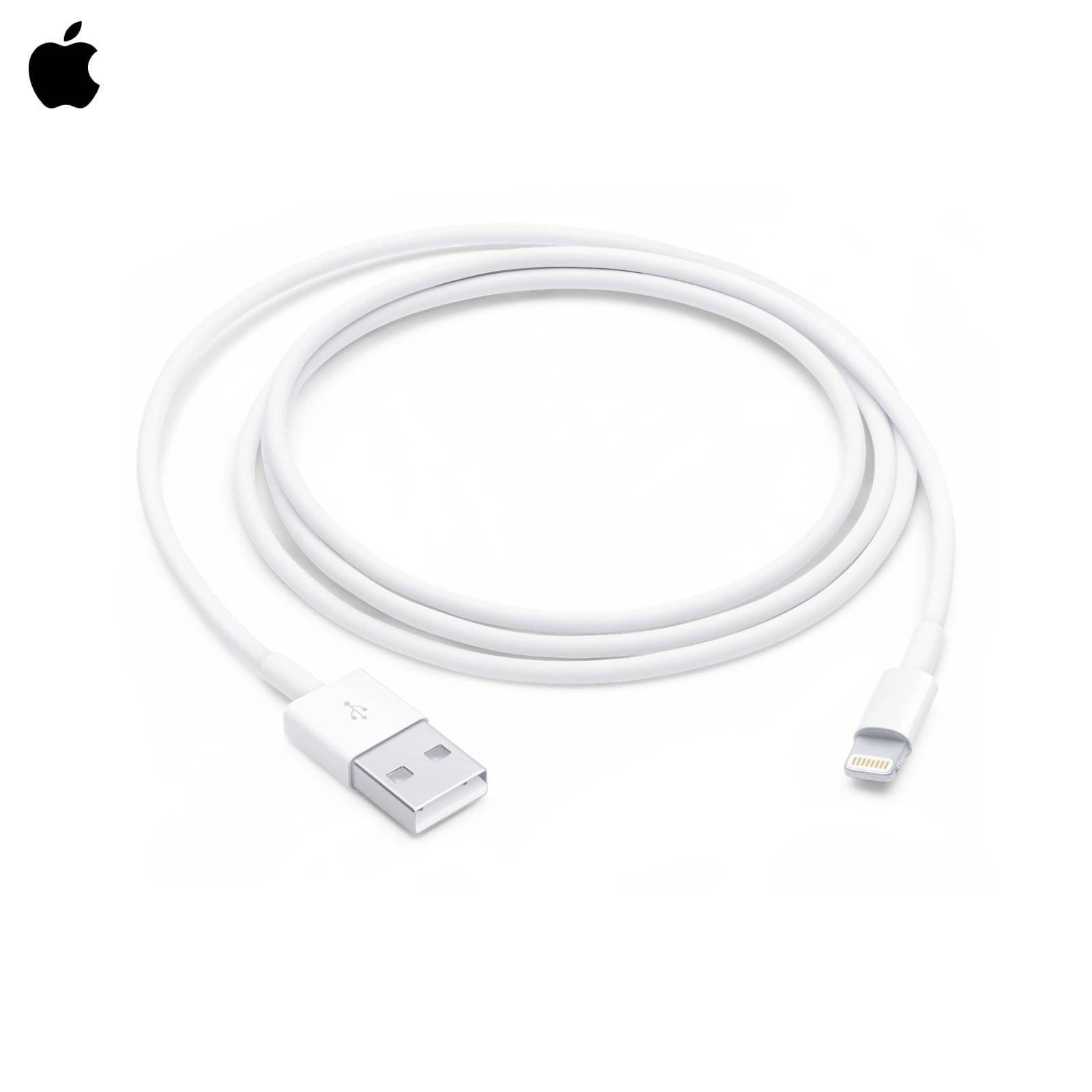 Apple Lightning to USB Cable