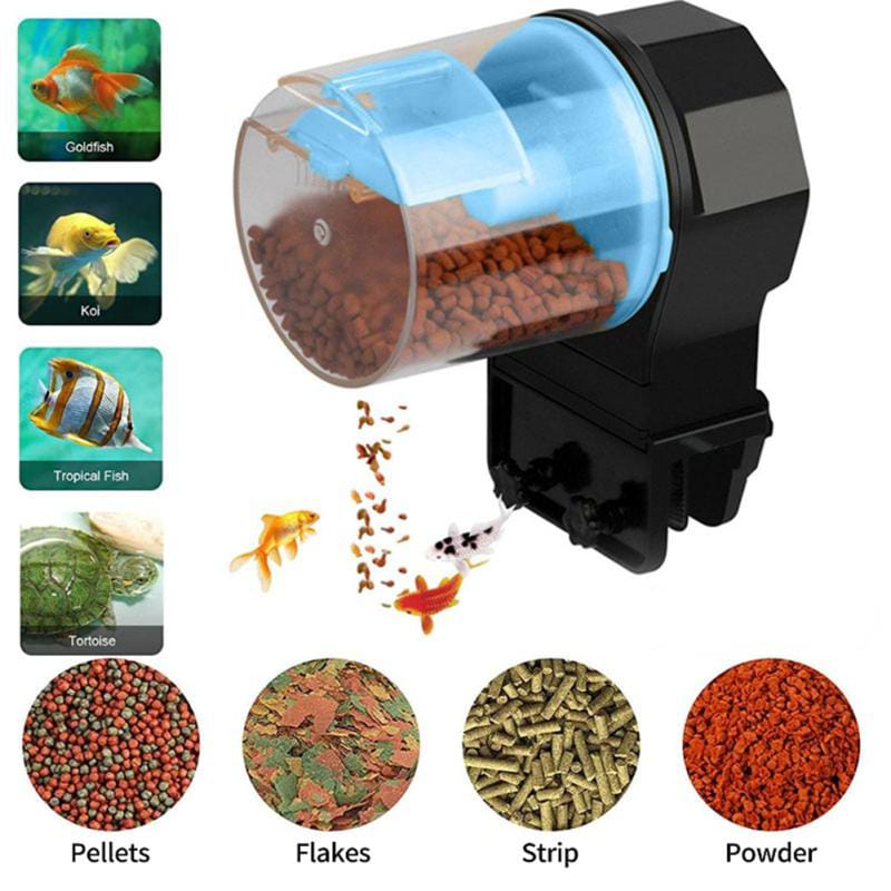 Fish tank food best sale