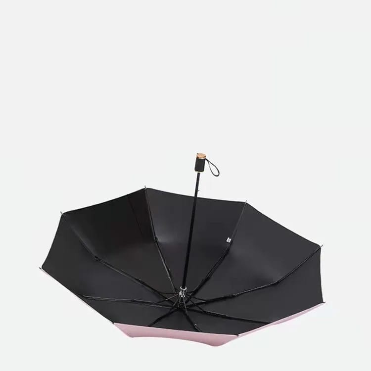 Inside View Of Automatic Umbrella