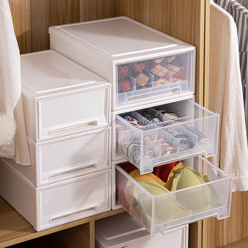 Drawer Type Wardrobe Organizer Boxes are Organized with Under-garments.