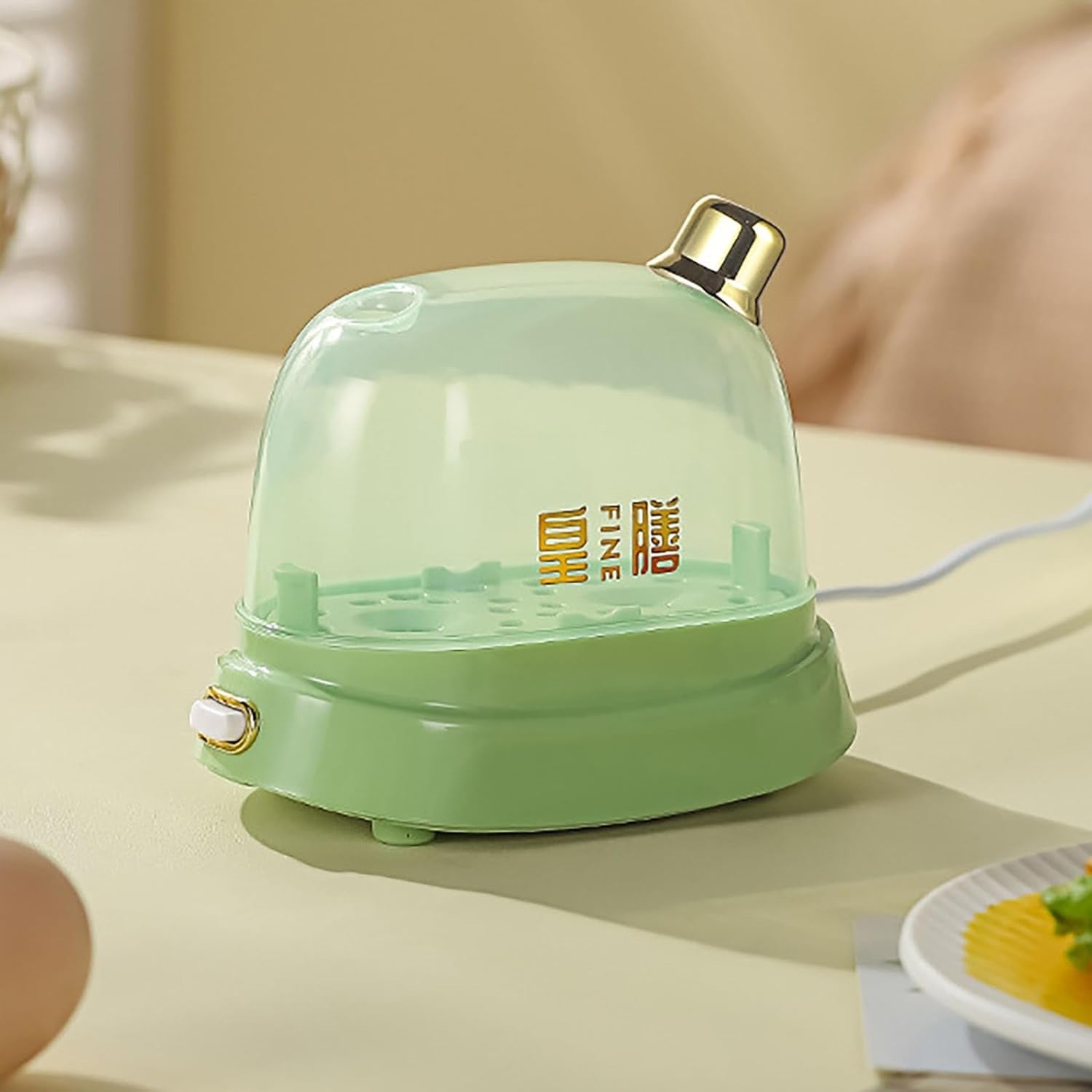 Electric Egg Boiler and Steamer