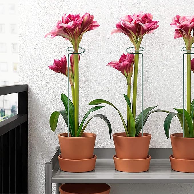 Metal Garden Plant Support Stakes