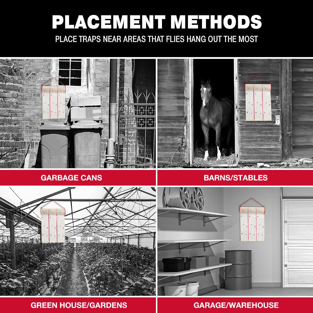 Different Placement Areas Of Flying Insect Glue Sticker.