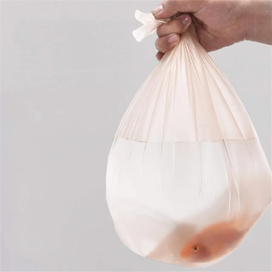 A Person is Holding Garbage Bag with Water and Fish inside it.