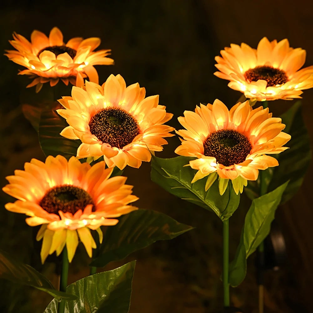 Solar Sunflowers Outside Garden Lawn Decor Light