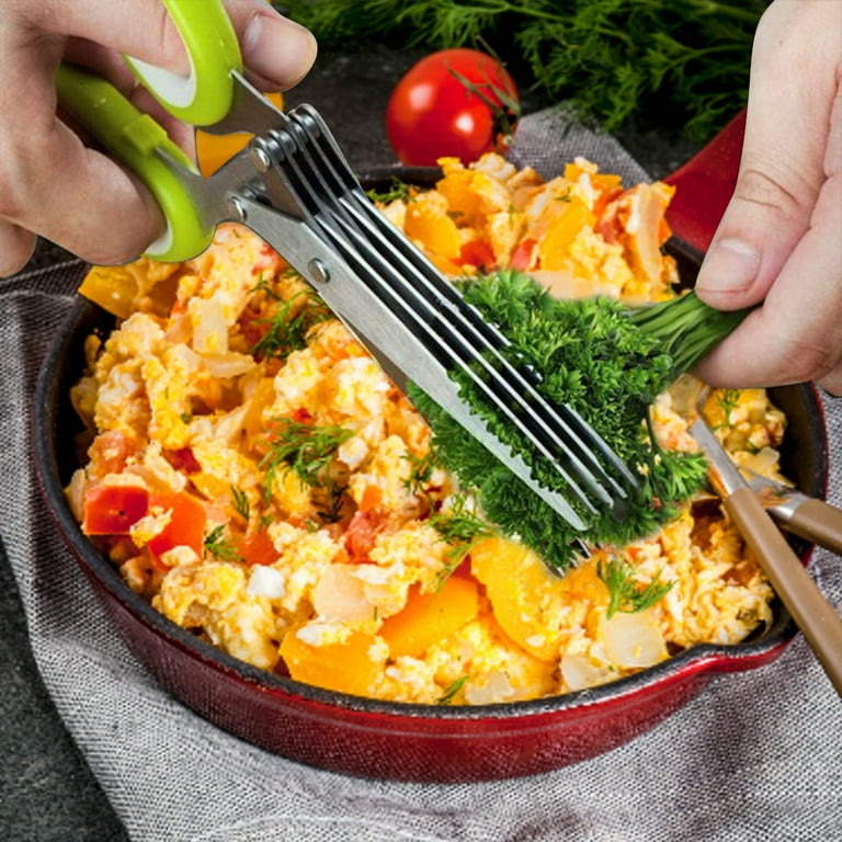 Fast Slice Herb Stainless Steel 5 Blade Kitchen Scissor.