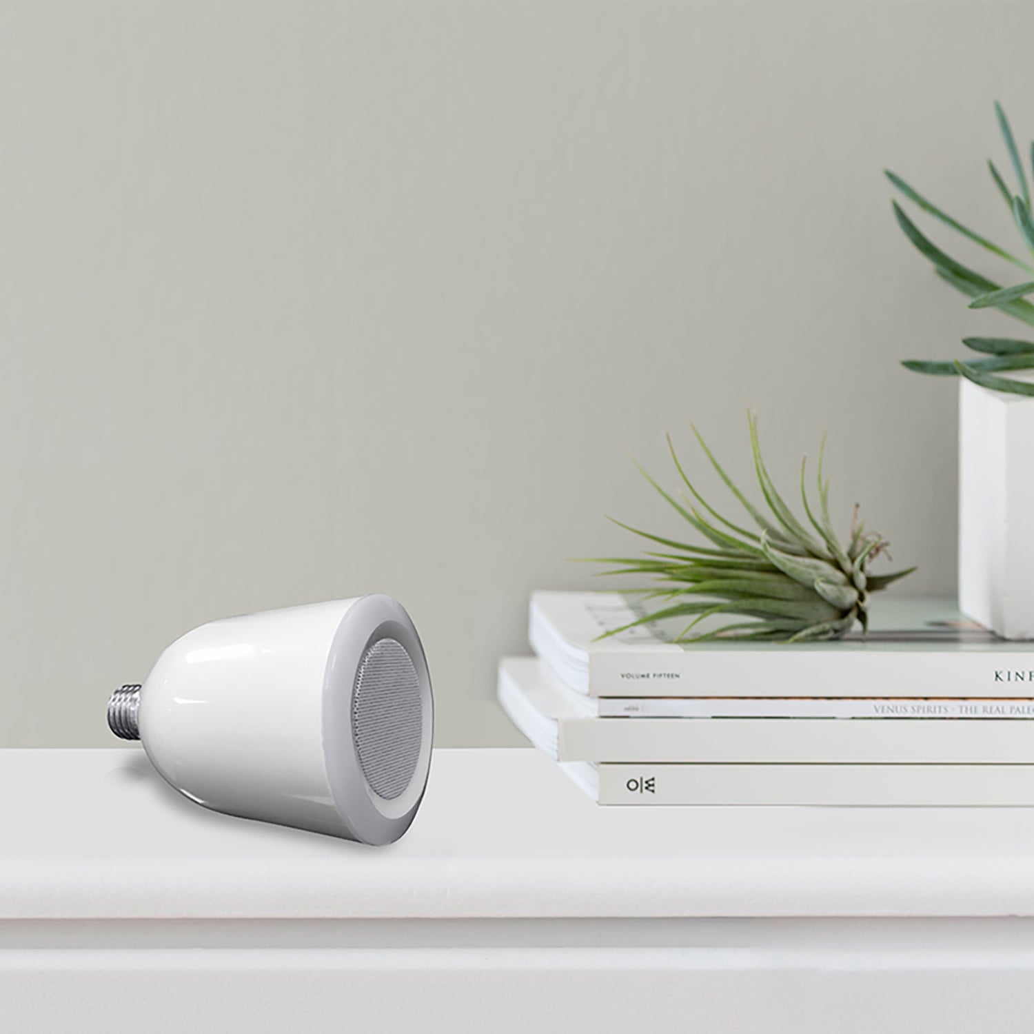 A LED Qur’an Speaker Lamp is Kept on a Table Along with Books and Some Plants.