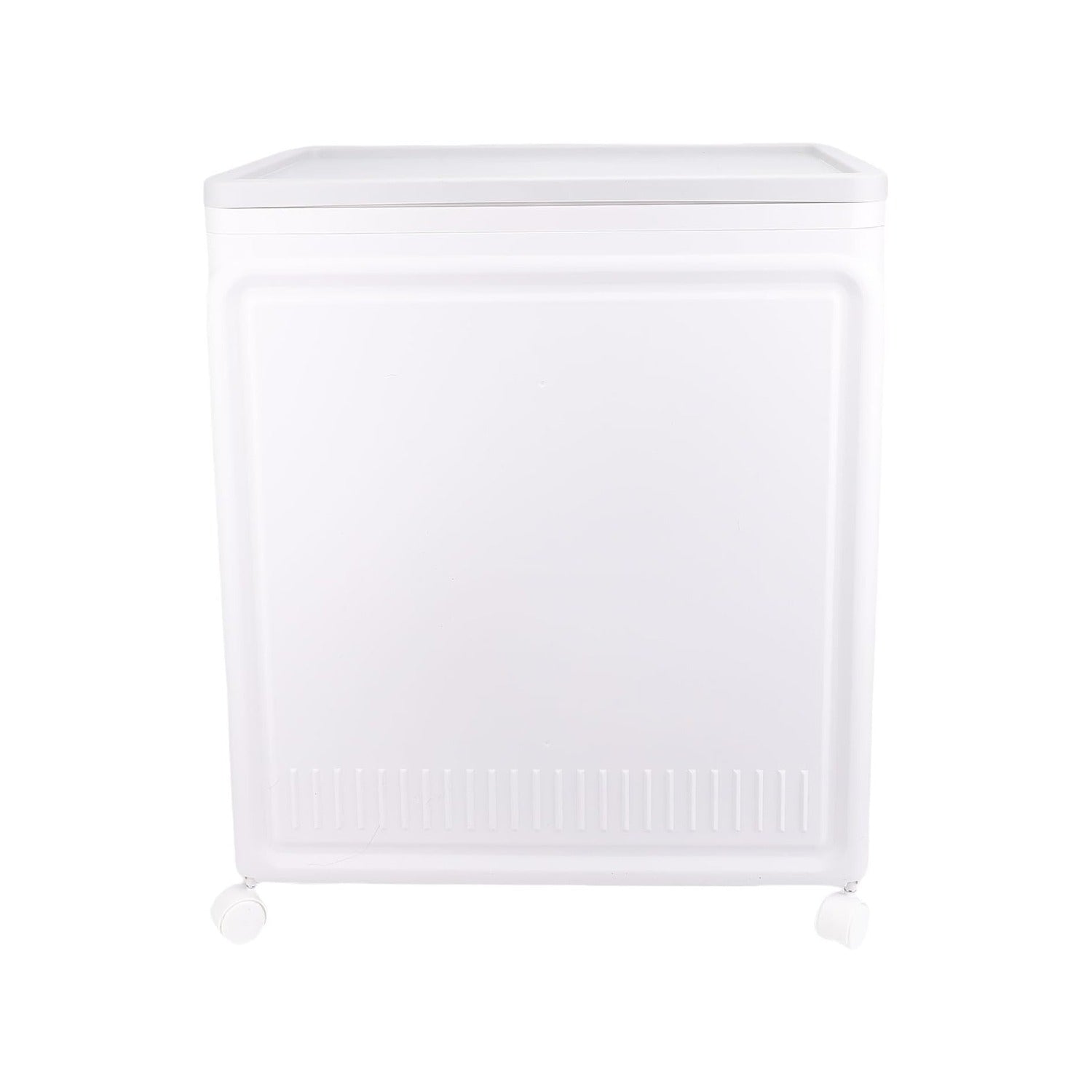 Back View Of Large Capacity Foldable Storage Box.