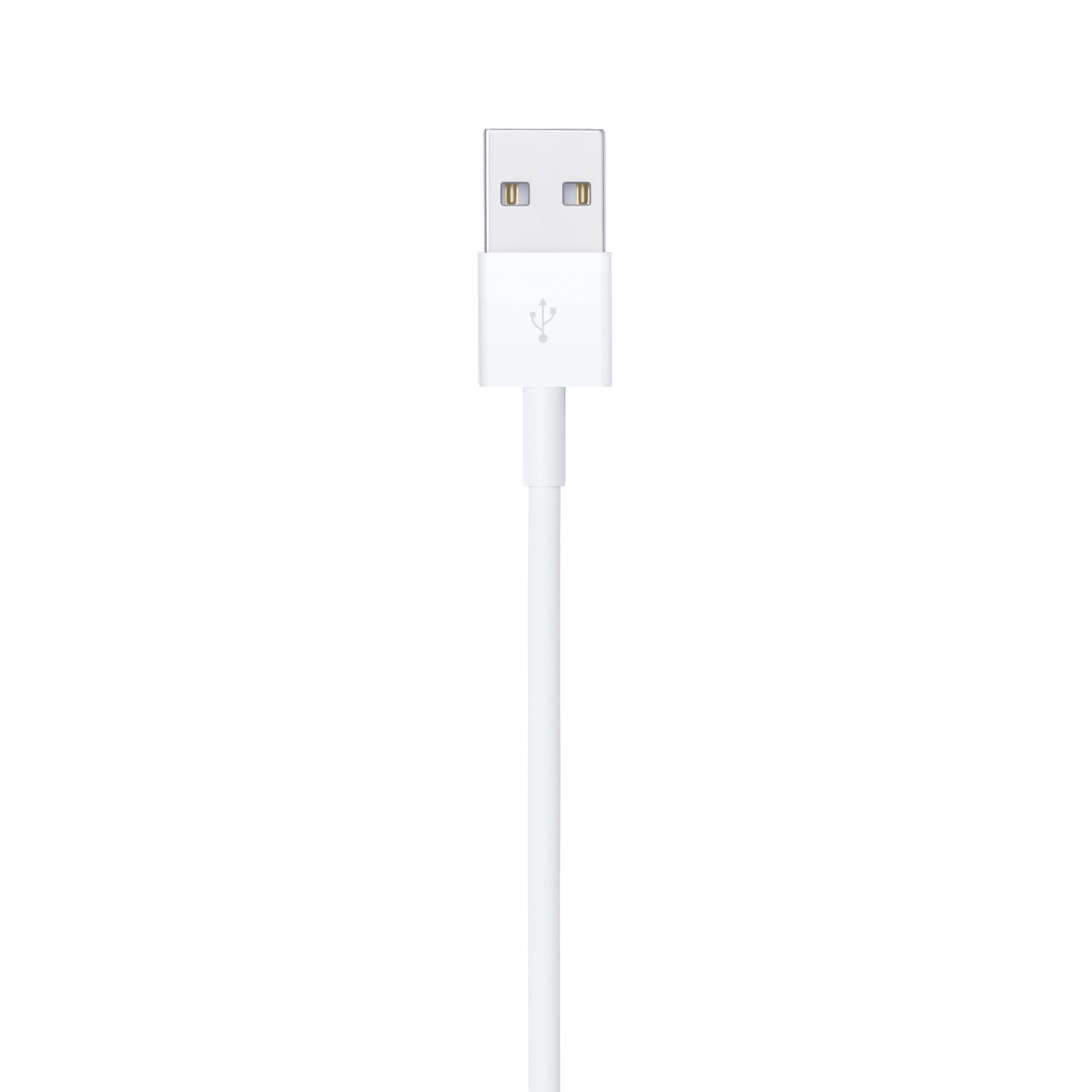 Apple Lightning to USB Cable (1m).