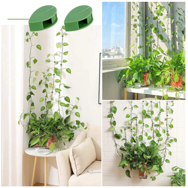 Plant Climbing Wall Fixture Clips, Self-Adhesive Invisible Support Hook for Wiring