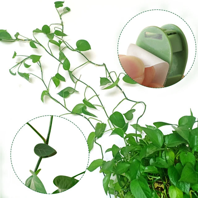 Plant Climbing Wall Fixture Clips, Self-Adhesive Invisible Support Hook for Wiring