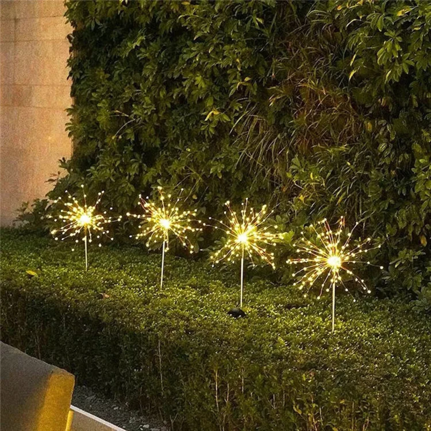 Solar Firework Garden Lights are Placed at Garden Area.