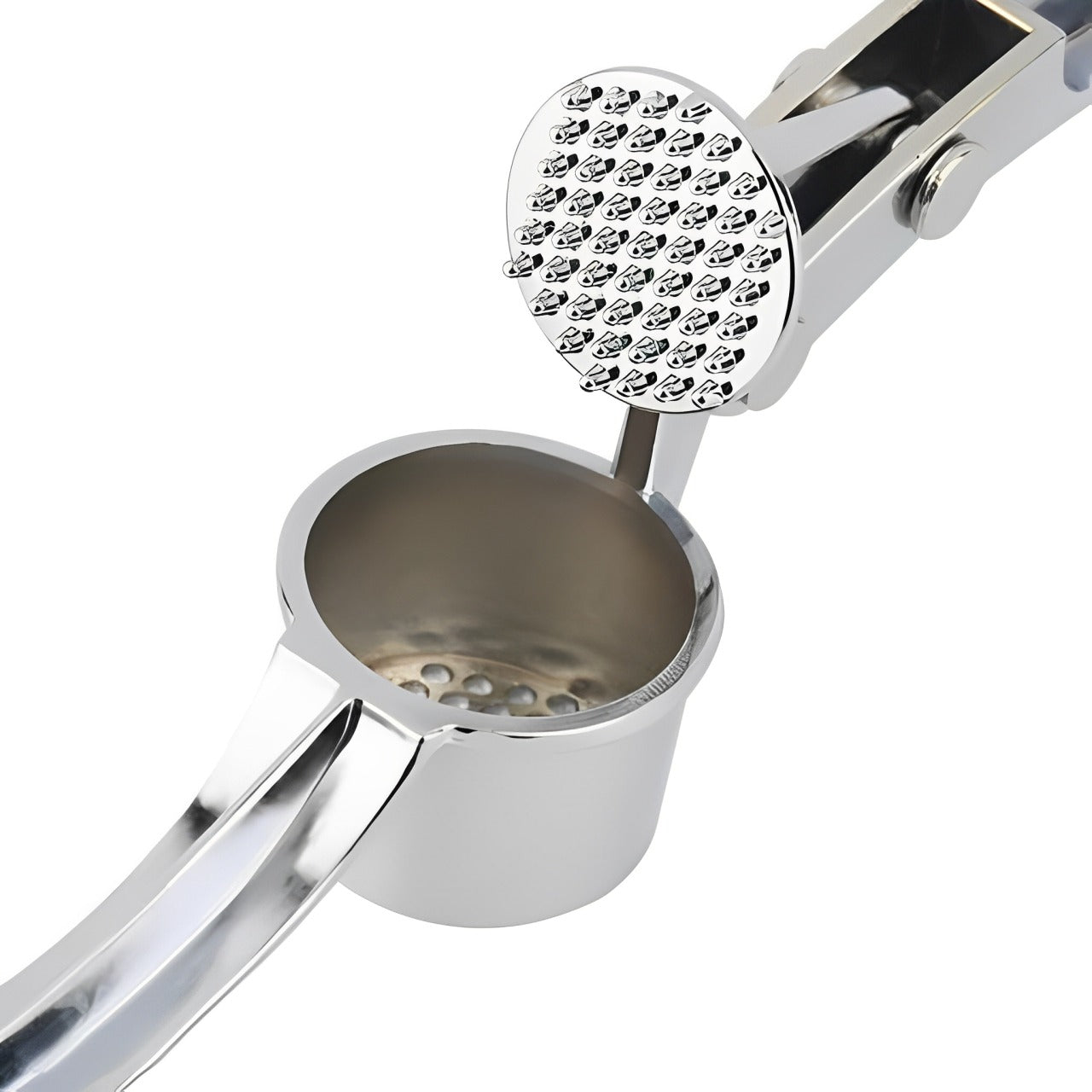 Manual Lemon Squeezer & Stainless Steel Ginger Garlic Press.