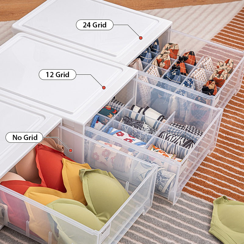 Drawer Type Wardrobe Organizer Box Organized with Under Garments.