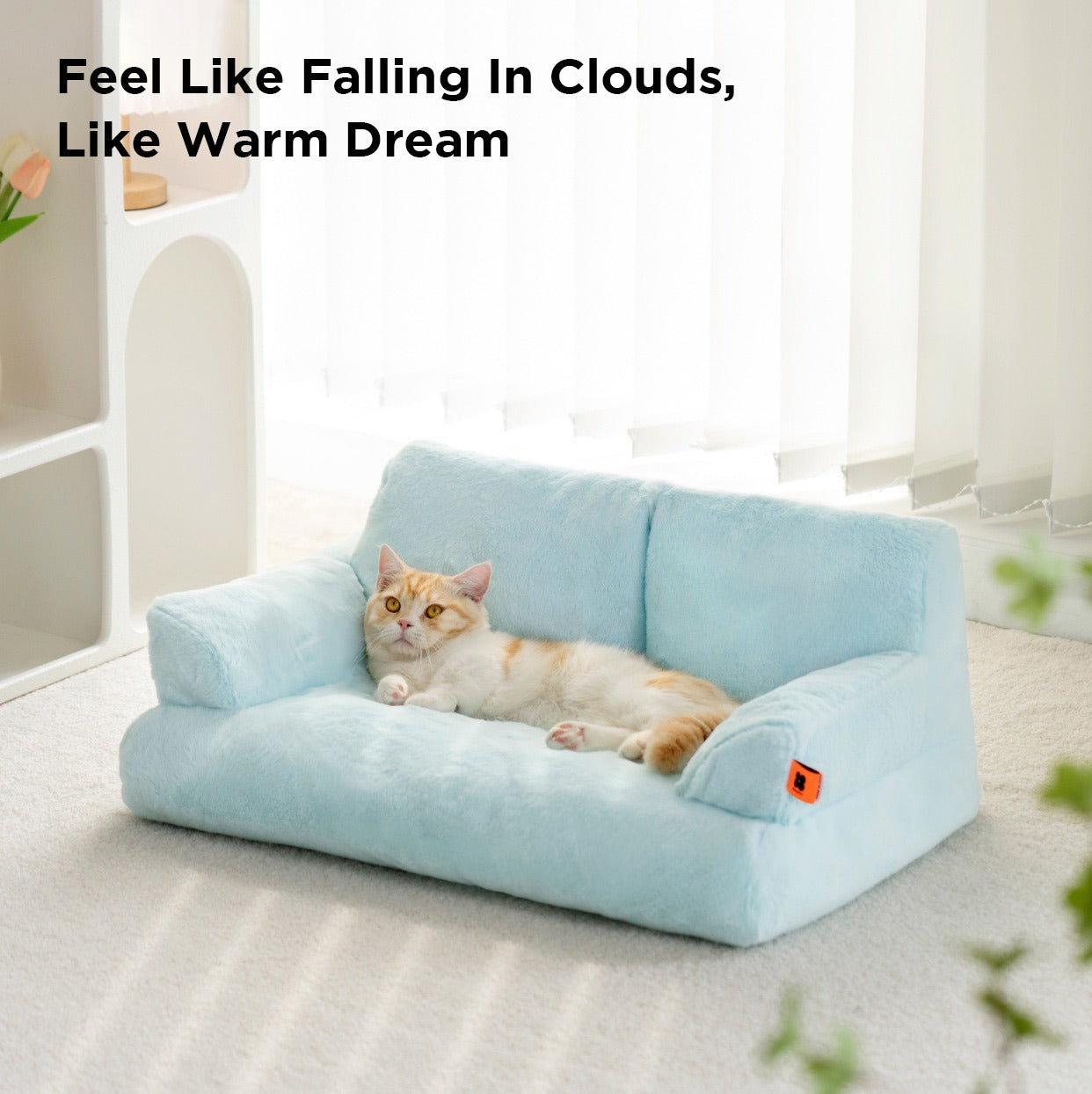 A cat lying on a blue color Cat Sofa Couch Cushion