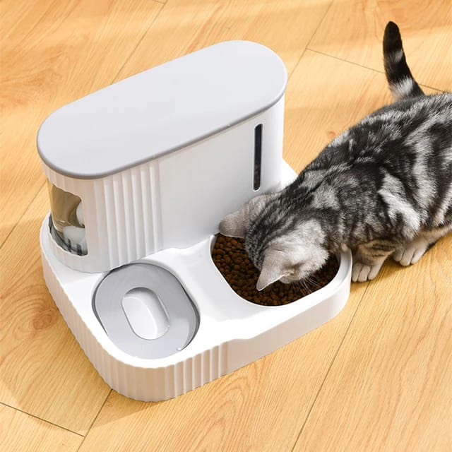 A cat eating grains served in an Automatic Pet Feeder & Water Dispenser