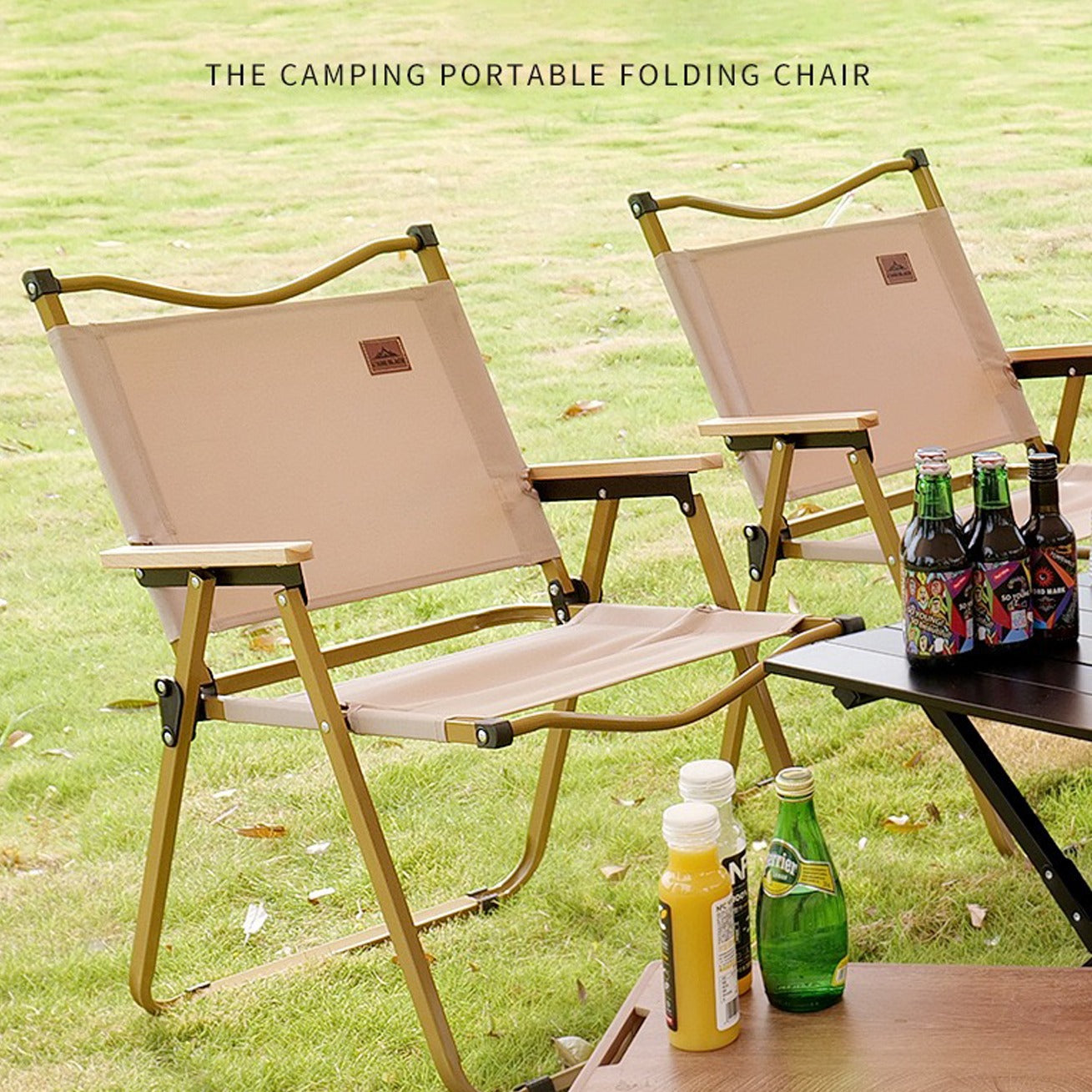Portable Outdoor Camping Chair being used in a picnic at a park