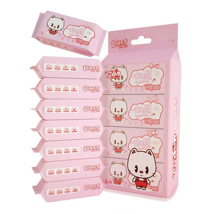 Mini Hand and Wet Wipes
