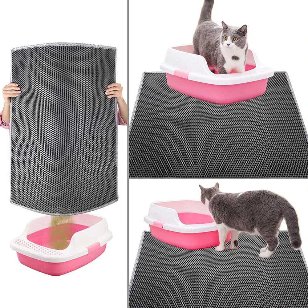 Cat in a Cat Litter Tray Mat.