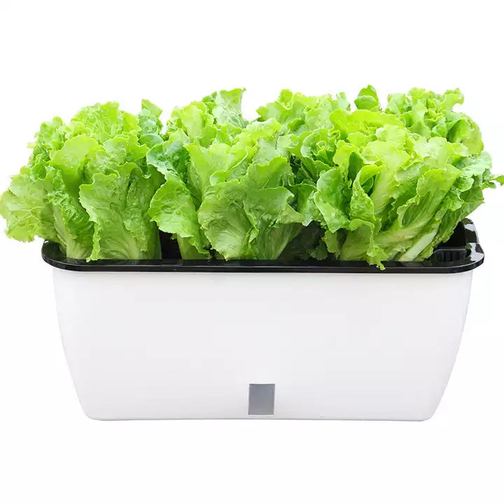 Self Watering Planter Pot, Double Layer Flower Pot with Visible Water Level