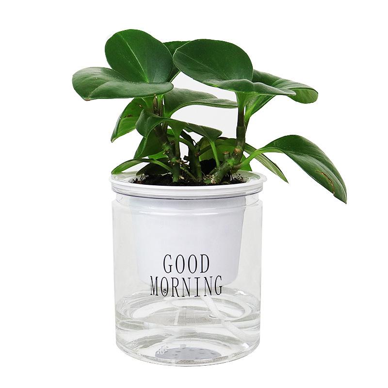 Showcasing Self Watering Indoor Plant Pot with plant in it