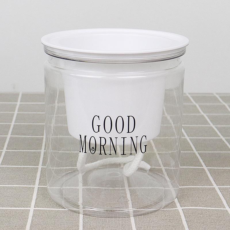 Showcasing a Self Watering Indoor Plant Pot placed on floor