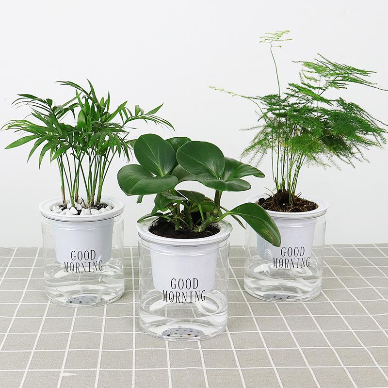 Three Self Watering Indoor Plant Pots with three different plants placed on floor