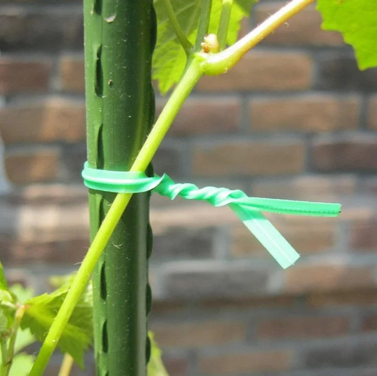 Plants tied with 30 Meters Gardening Plant Green Twist Tie Wire