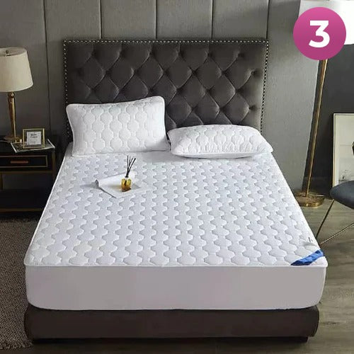 Fitted Size Mattress Bed Sheet with 2 Pillow Case, Printed Waterproof Mattress Protector Bed Sheet