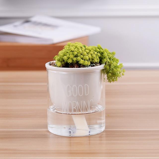 Self Watering Indoor Plant Pot with a plant in it placed on a wooden surface