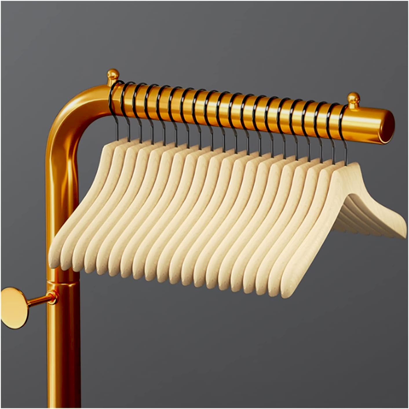 A Coat Rack Stand Wth Hangers Are Placed.