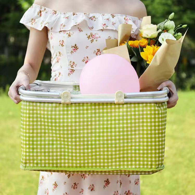 A Woman is Holding a Portable Picnic Basket.
