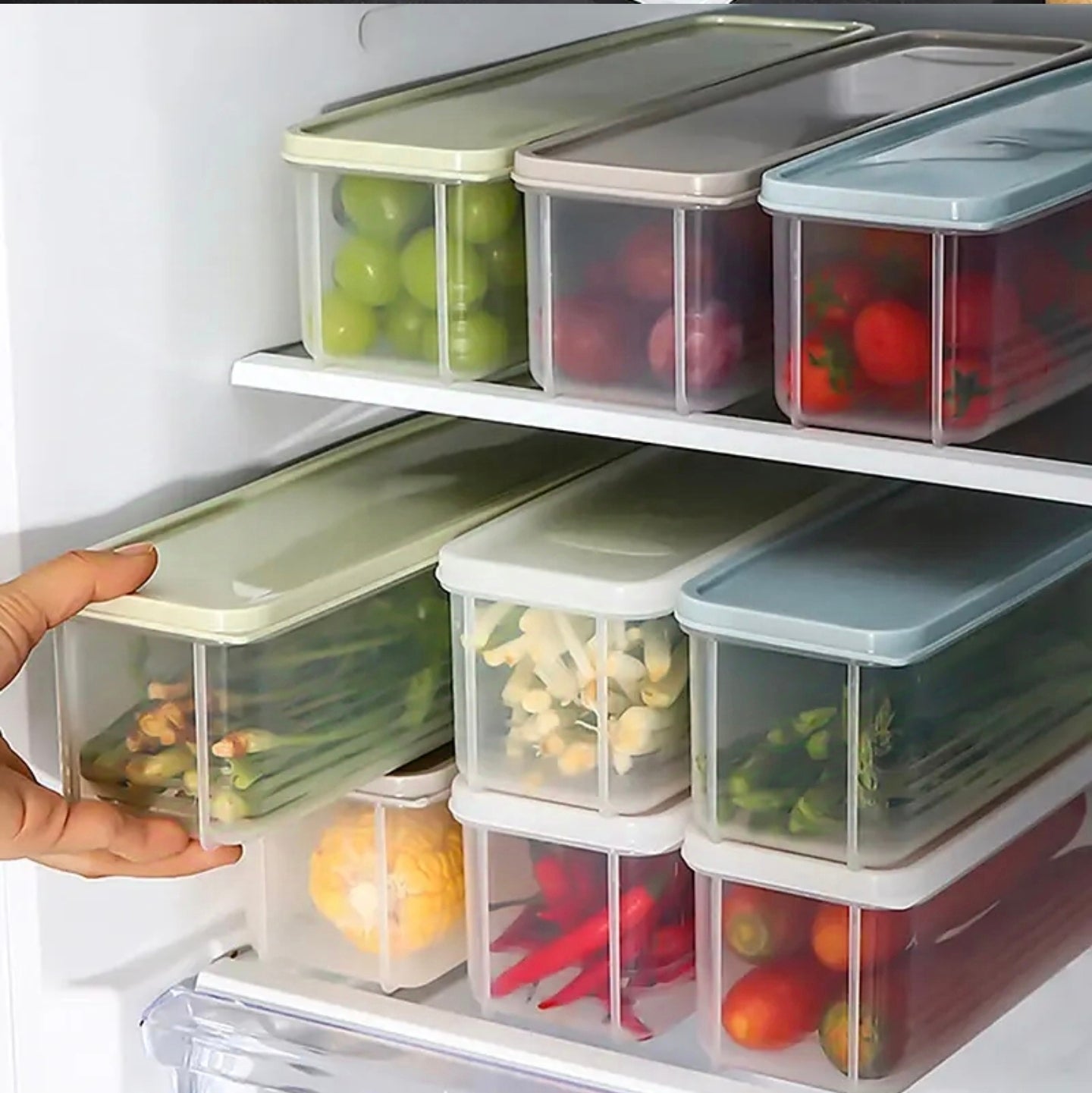 A Person is Keeping Airtight Rectangular Storage Box With Vegetables in a Referigerator.