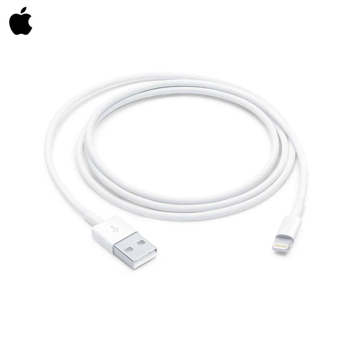 Apple Lightning to USB Cable 