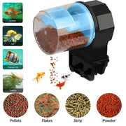 Automatic Fish Feeder With Fish Food.
