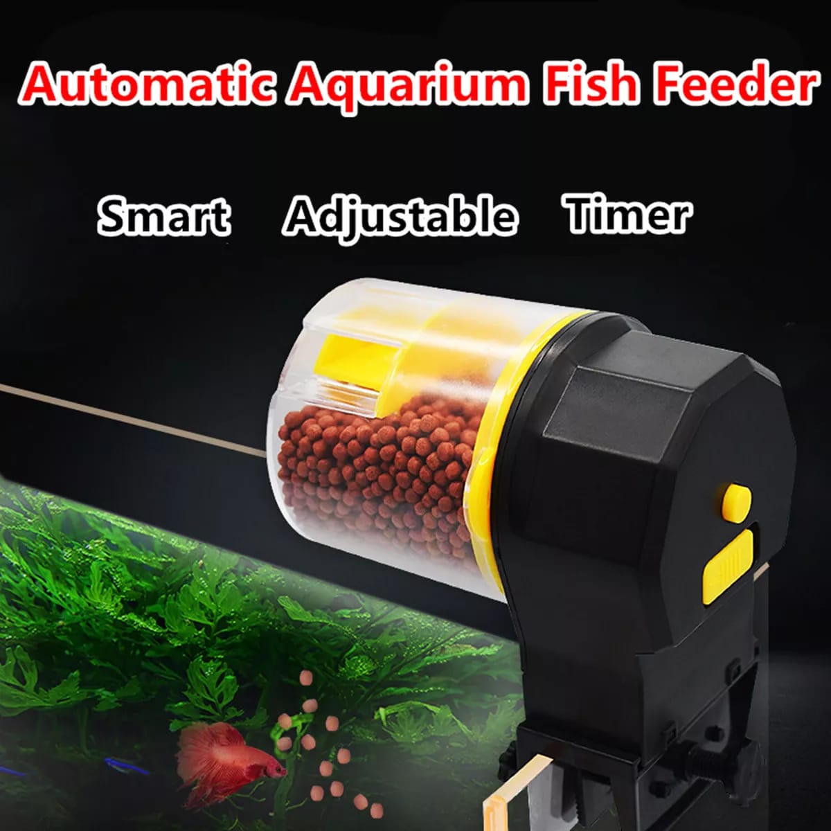 Automatic Fish Feeder Fixed in an Aquarium.
