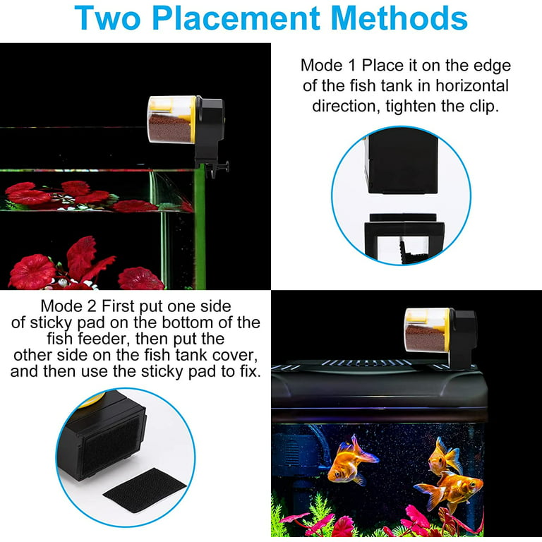 Placement of Automatic Fish Feeder in Aquarium.