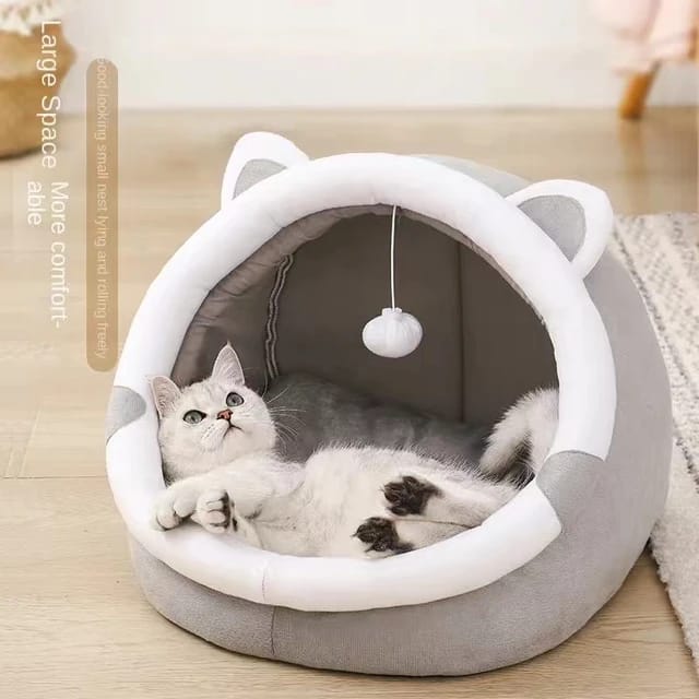 Cat in a Cat Bed House.
