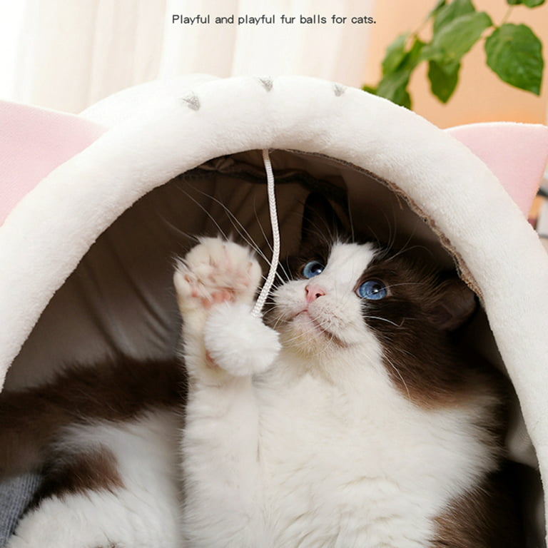 Cat Playing Inside Cat Bed Lounger Cave.