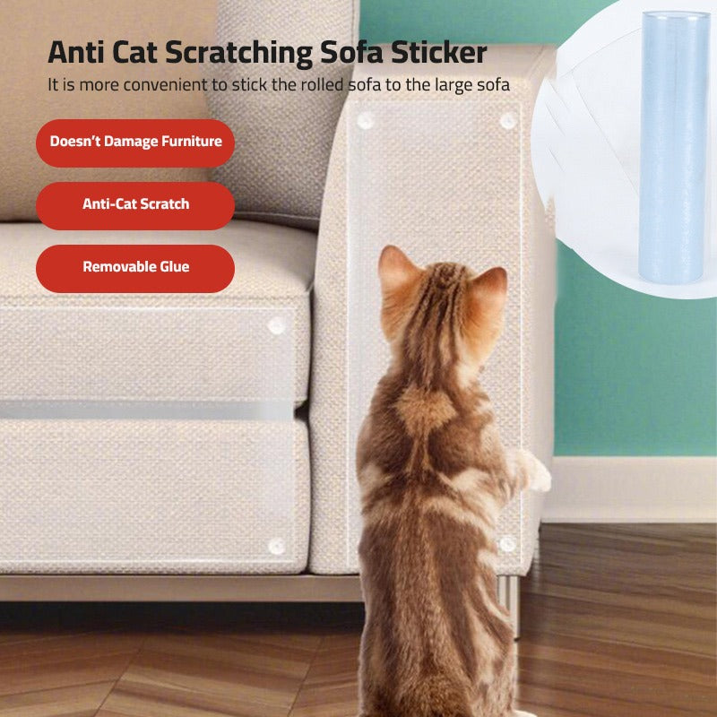 A Cat is Trying to Scratch a Sofa Set Which is Protected With Pet Scratch Guard Furniture Protector Sticker.