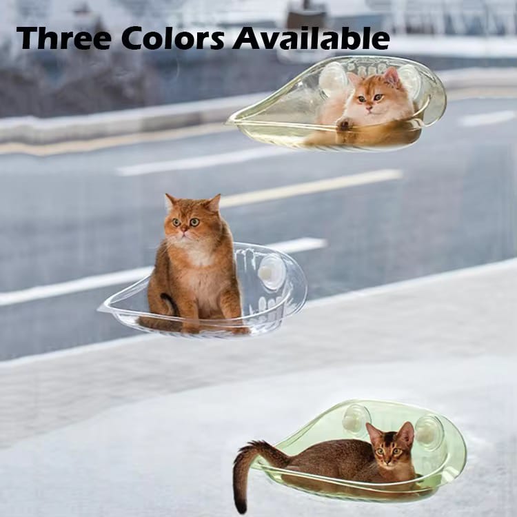 Three Cat are Resting in a  Tnree Different Cat Window Hammock Bed
