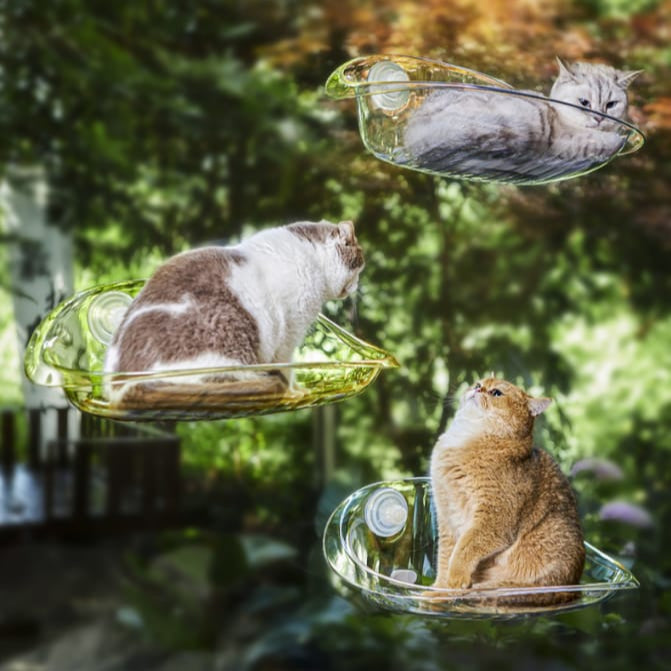 Three Cat are Resting in a  Tnree Different Cat Window Hammock Bed