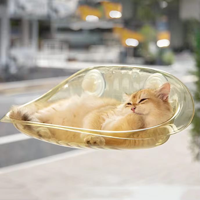A Cat is Resting on the Cat Window Hammock Bed.