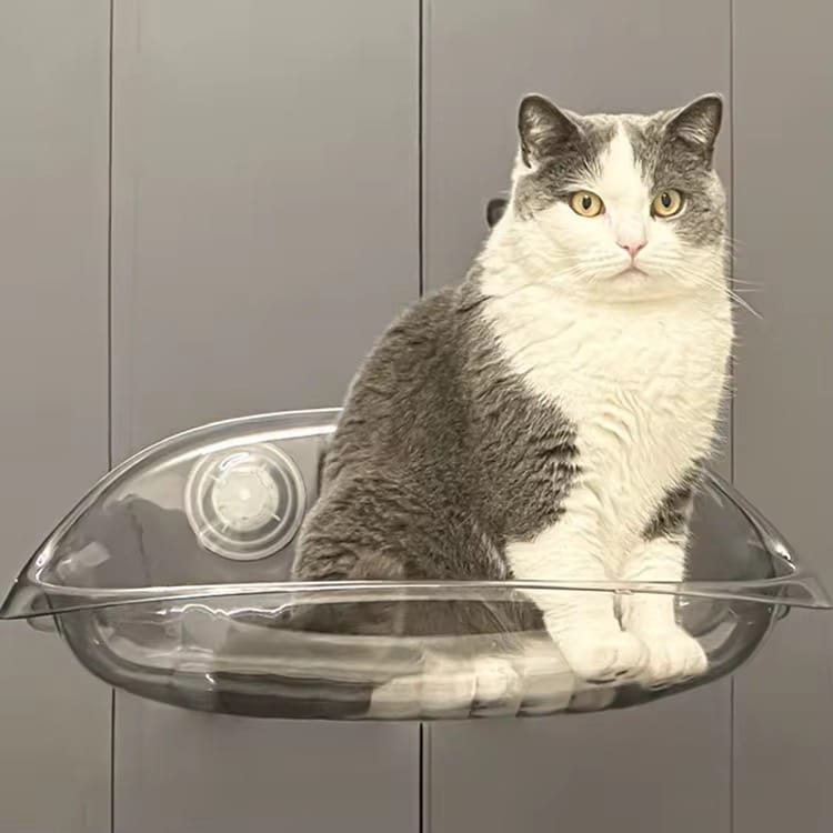 Cat Window Hammock Bed, Suction Cup Transparent Cat Perch, Pet Kitten Hanging Sleeping Bed Cat Window Hammock Bed, Suction Cup Transparent Cat Perch, Pet Kitten Hanging Sleeping Bed