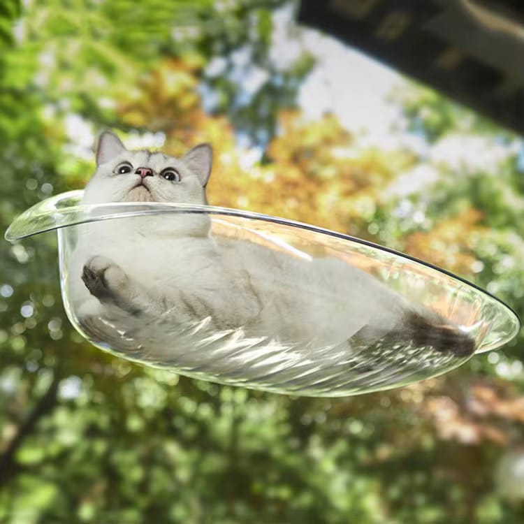 A Cat is Resting on the Cat Window Hammock Bed.