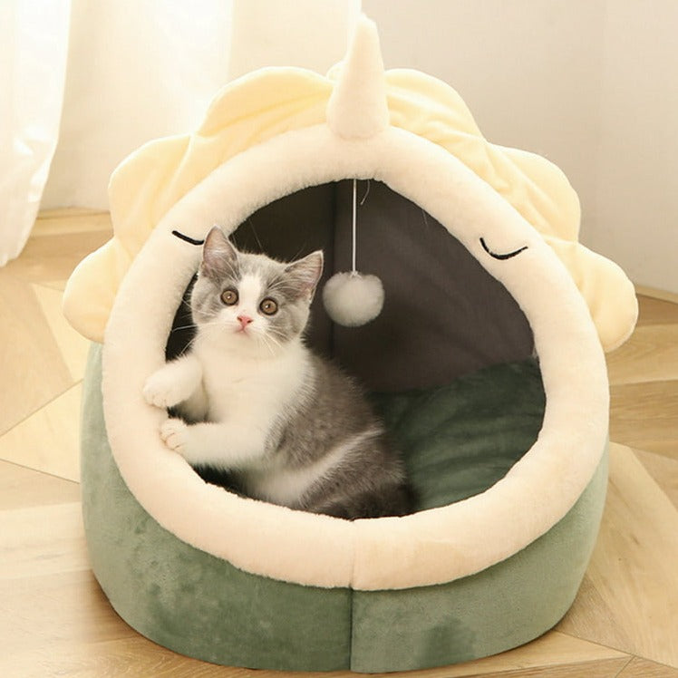 Cute Cat in a Cat Bed House.