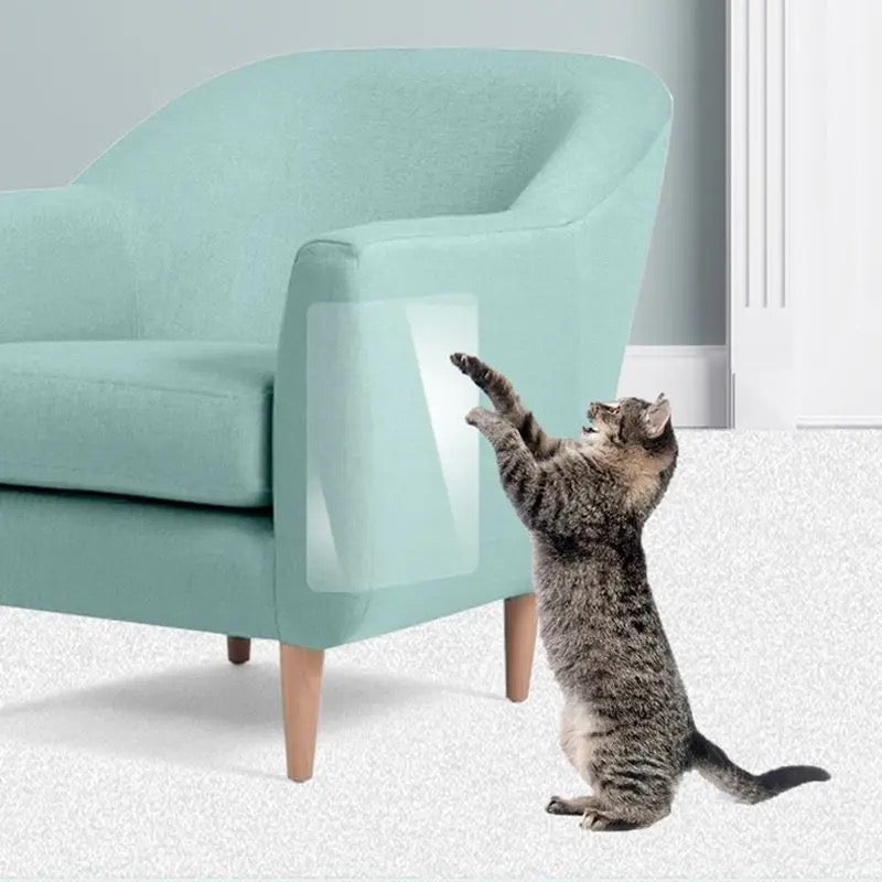 A Cat is Trying to Scratch a Sofa Set Which is Protected With Pet Scratch Guard Furniture Protector Sticker.