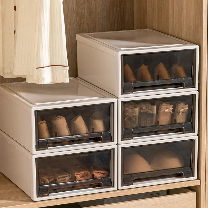 Drawer Type Wardrobe Organizer Box is Organized with Under Garments.