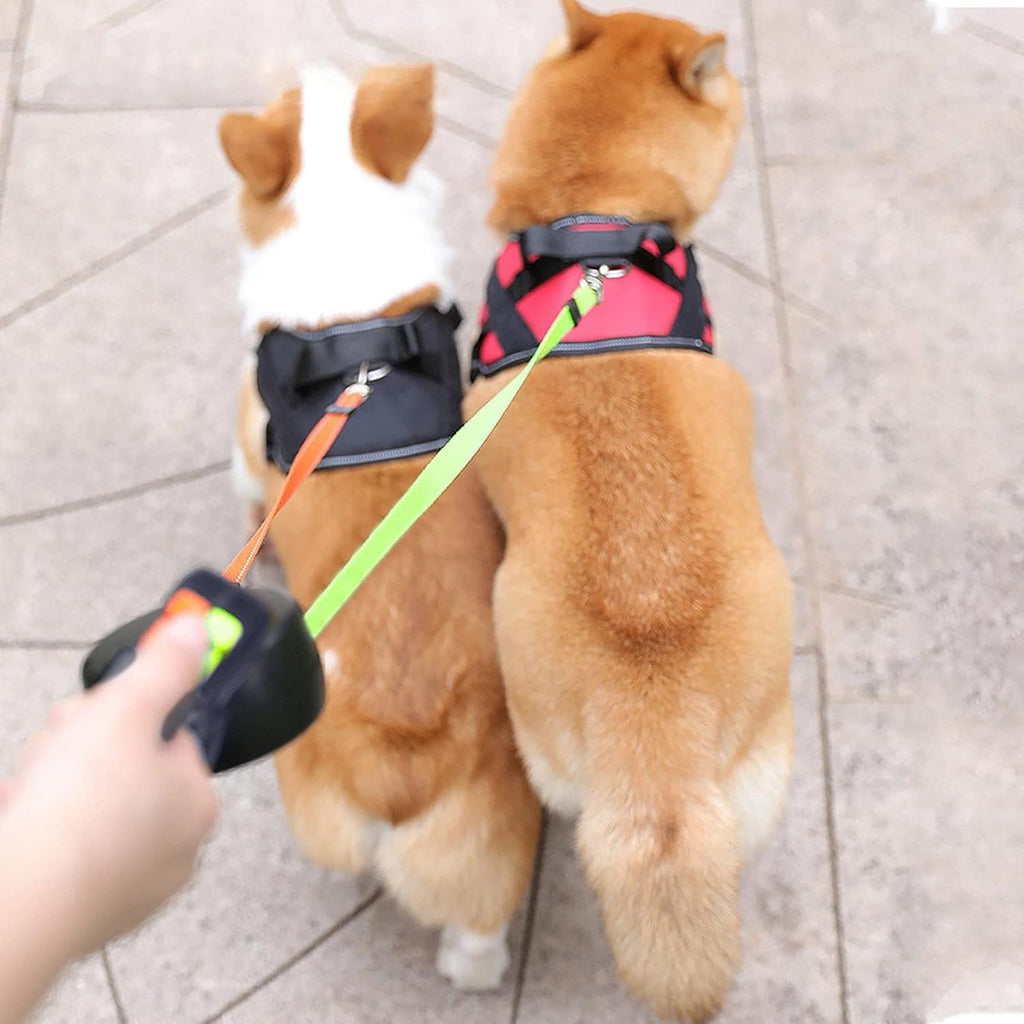 Dual Retractable Dog Leash 3m, Anti-Tangle Automatic Traction Rope for Two Pets Dual Retractable Dog Leash 3m, Anti-Tangle Automatic Traction Rope for Two Pets
